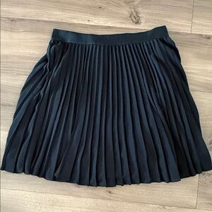 Express Black Pleated Skirt